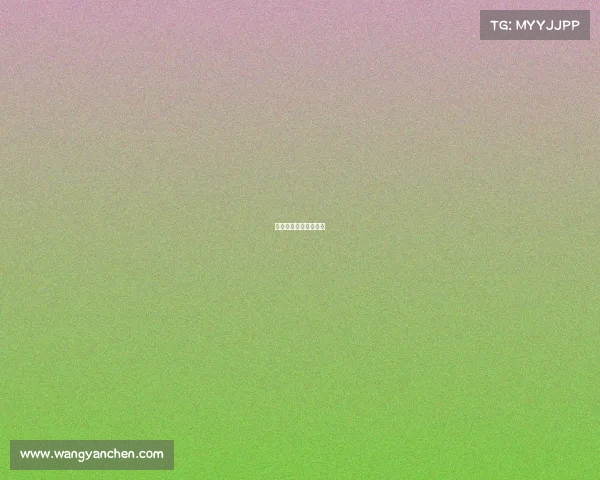 马术赛事裁判培训内容